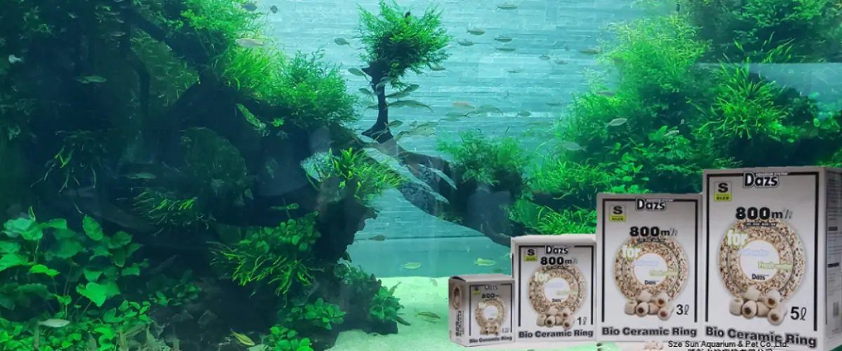 德仕水族寵物用品中心網站製作