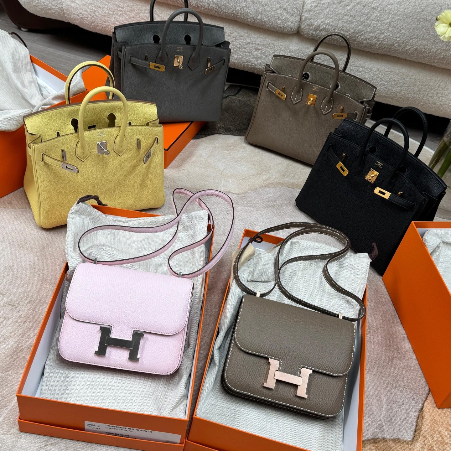 PAIRS INSIDER 代購網店